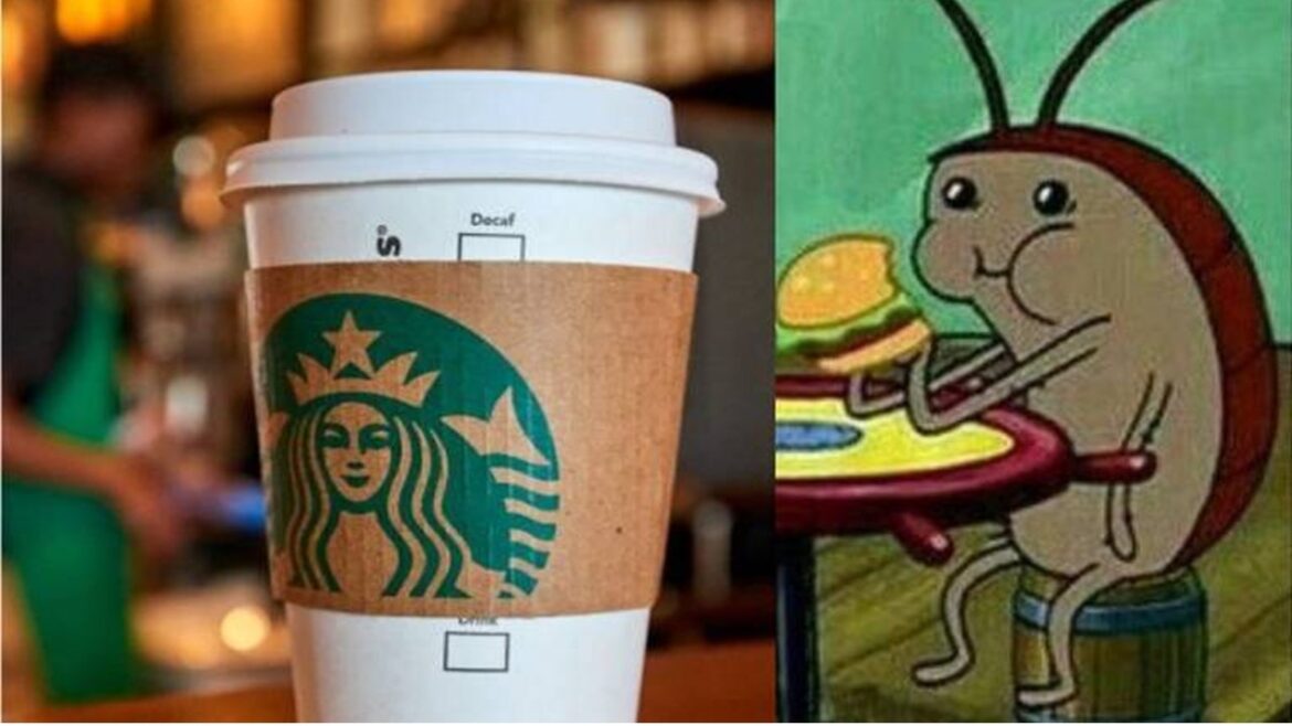 Cucaracha fue grabada en una cafetería en Cancún