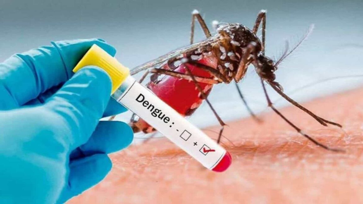 DENGUE TABASCO