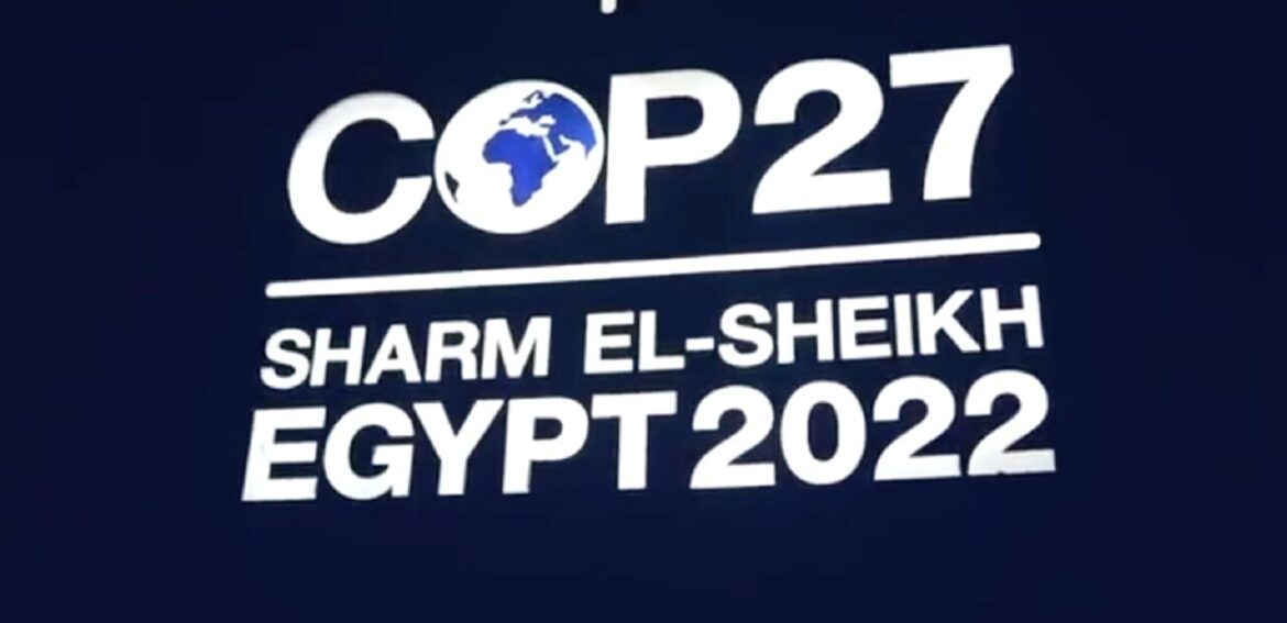 La app oficial de la Cumbre del Clima en Egipto podría tener un spyware