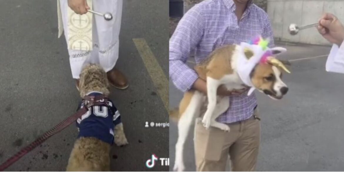 Mujer pide a sus hijos bendecir a sus perros en iglesia de Monterrey; video se hace viral