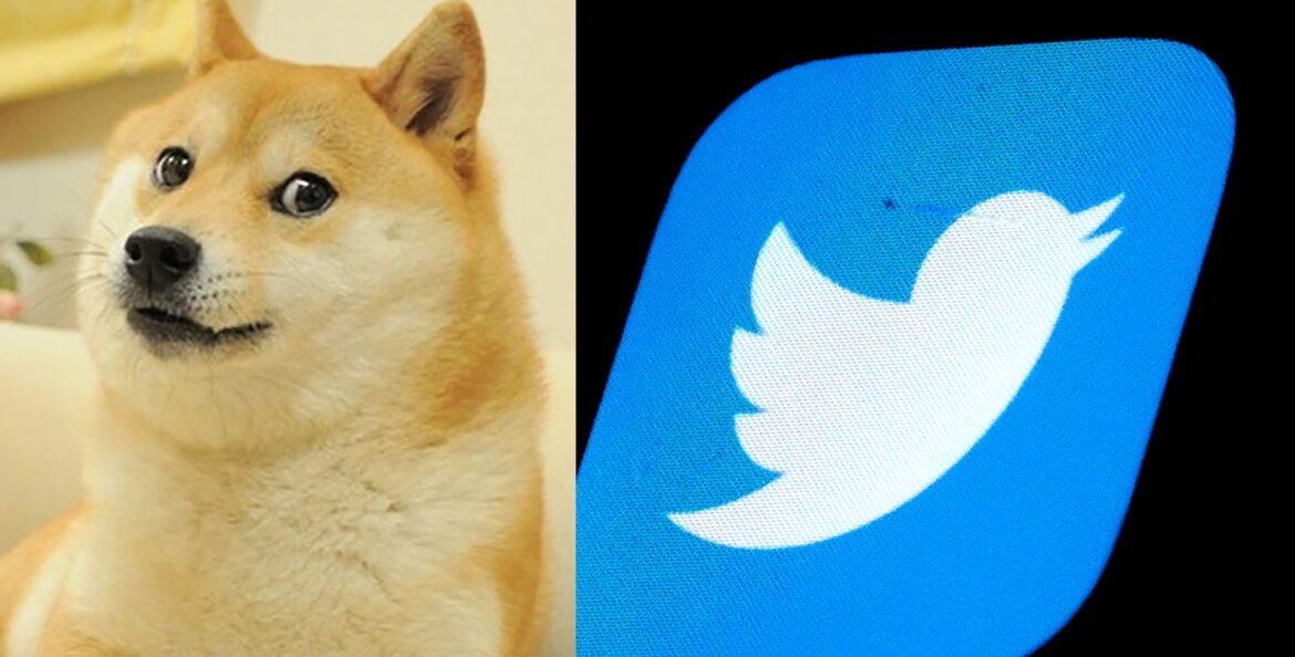 Por qué aparece un perro en el logo del pajarito de Twitter