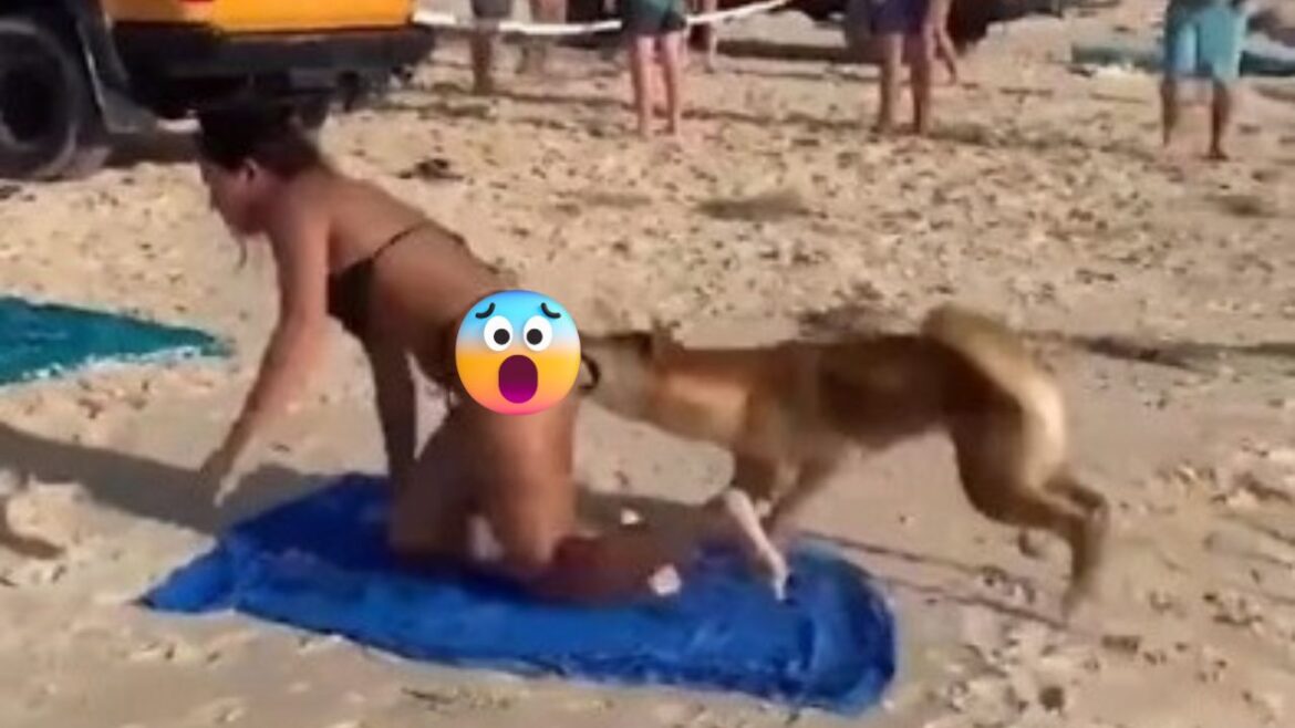 Turista es mordida en el trasero