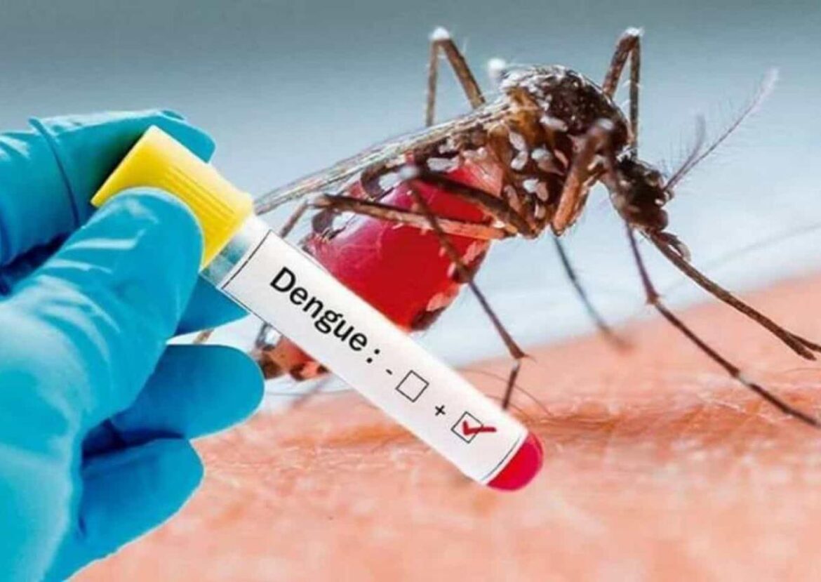 Confirma Salud 5 muertes por dengue en Tabasco