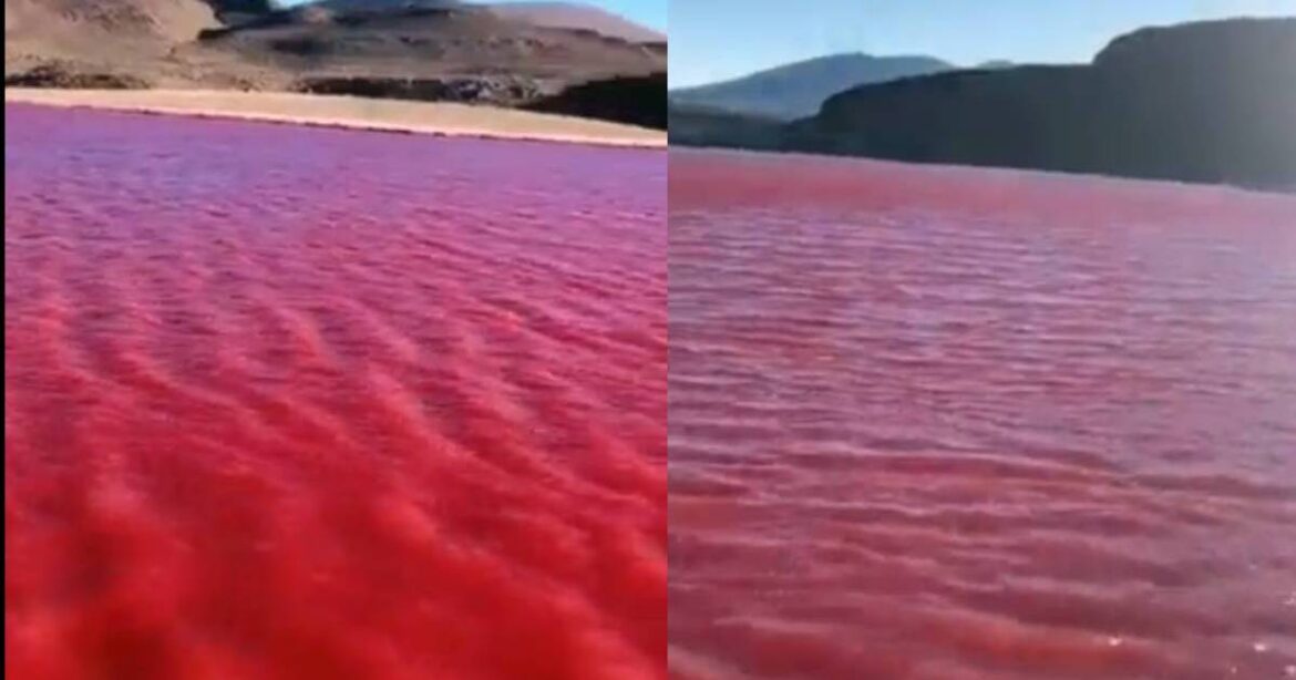 Difunden supuesto video del río Nilo completamente de rojo