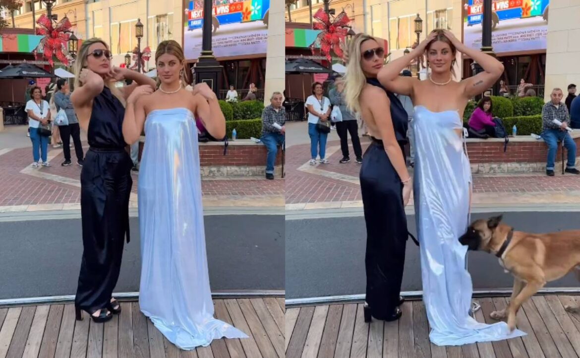 Un perro le arranca el vestido a una modelo en una sesión