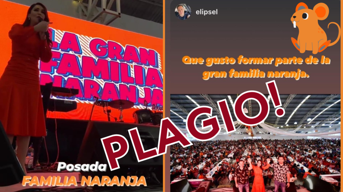 plagio gran familia morena naranja