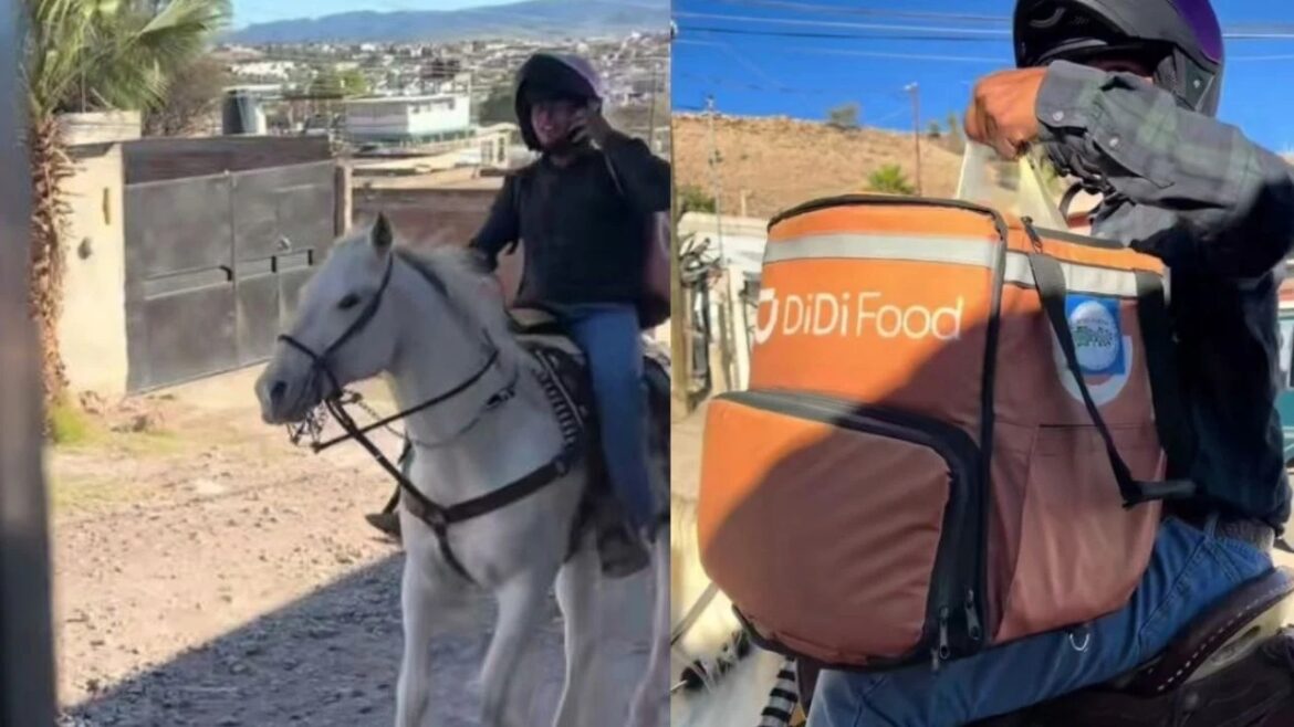 caballo delivery servicio viral domicilio didi