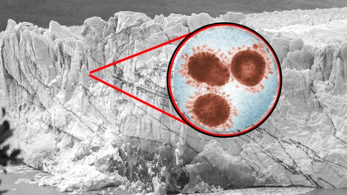 virus permafrost zombies