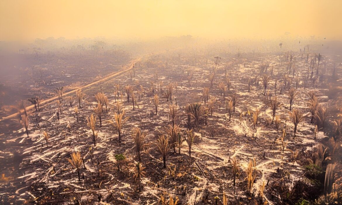 extincion humana fin tiempos