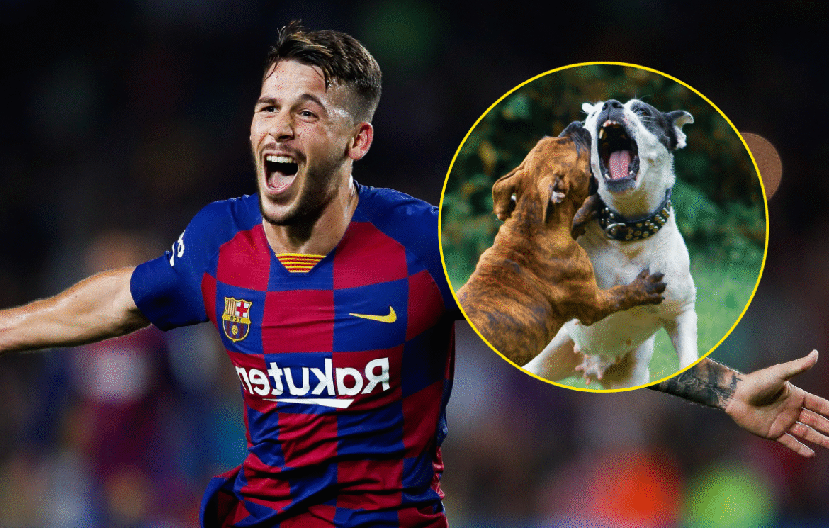 carles perez mordido perro